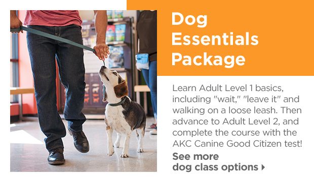 Dog Essentials Package. Learn Adult Level 1 basics, including "wait", "leave it" and walking on a loose leash. Then advance to Adult Level 2, and complete the course with the AKC Canine Good Citizen test! See more dog class options.