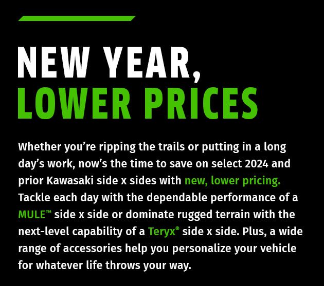 NEW YEAR, LOWER PRICES