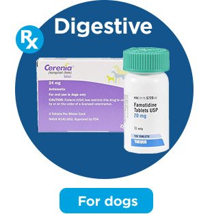 Digestive. For dogs.