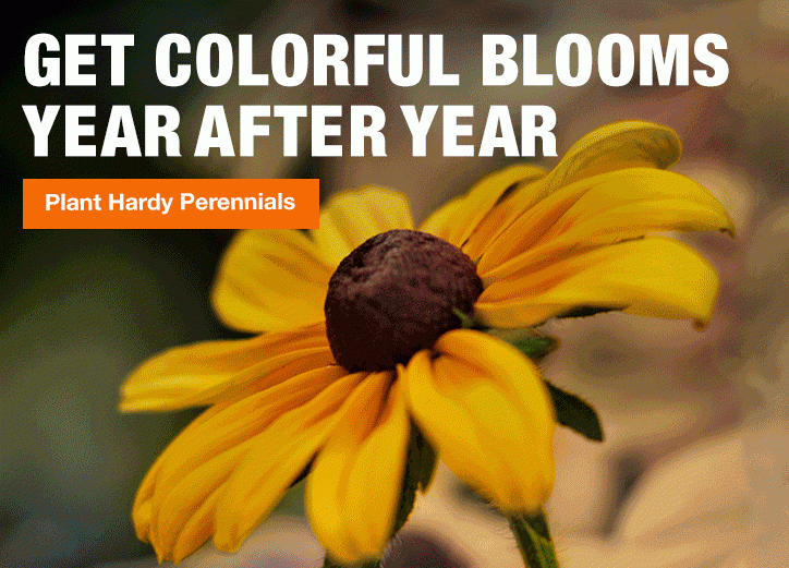 GET COLORFUL BLOOMS YEAR AFTER YEAR