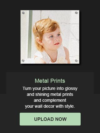 Metal Prints