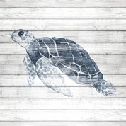 $23.99 | Blue Turtle on Wood | Canvas Wall Art | Shop Now