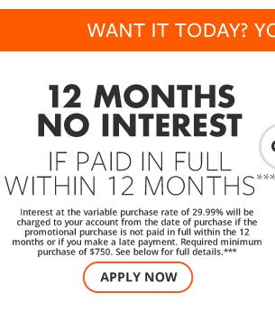 No Interest CC