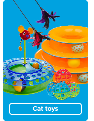 Shop cat toys >