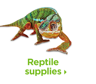 Reptile supplies.