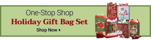 One-Stop Shop Holiday Gift Bag Set - Shop Now