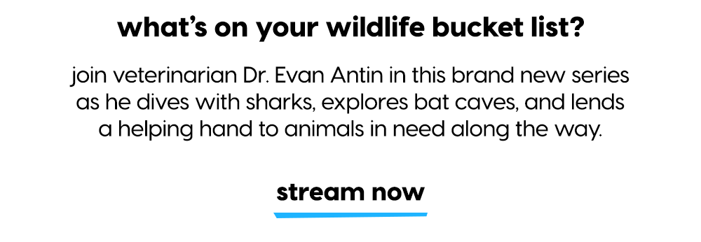 animal planet go - what's on your wildlife bucket list? join veterinarian Dr. Evan Antin in this brand new series as he dives with sharks, explores bat caves, and lends a helping hand to animals in need along the way. stream now.