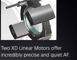 Two XD Linear Motors offer incredibly precise and quiet AF.