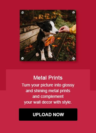 Metal Prints