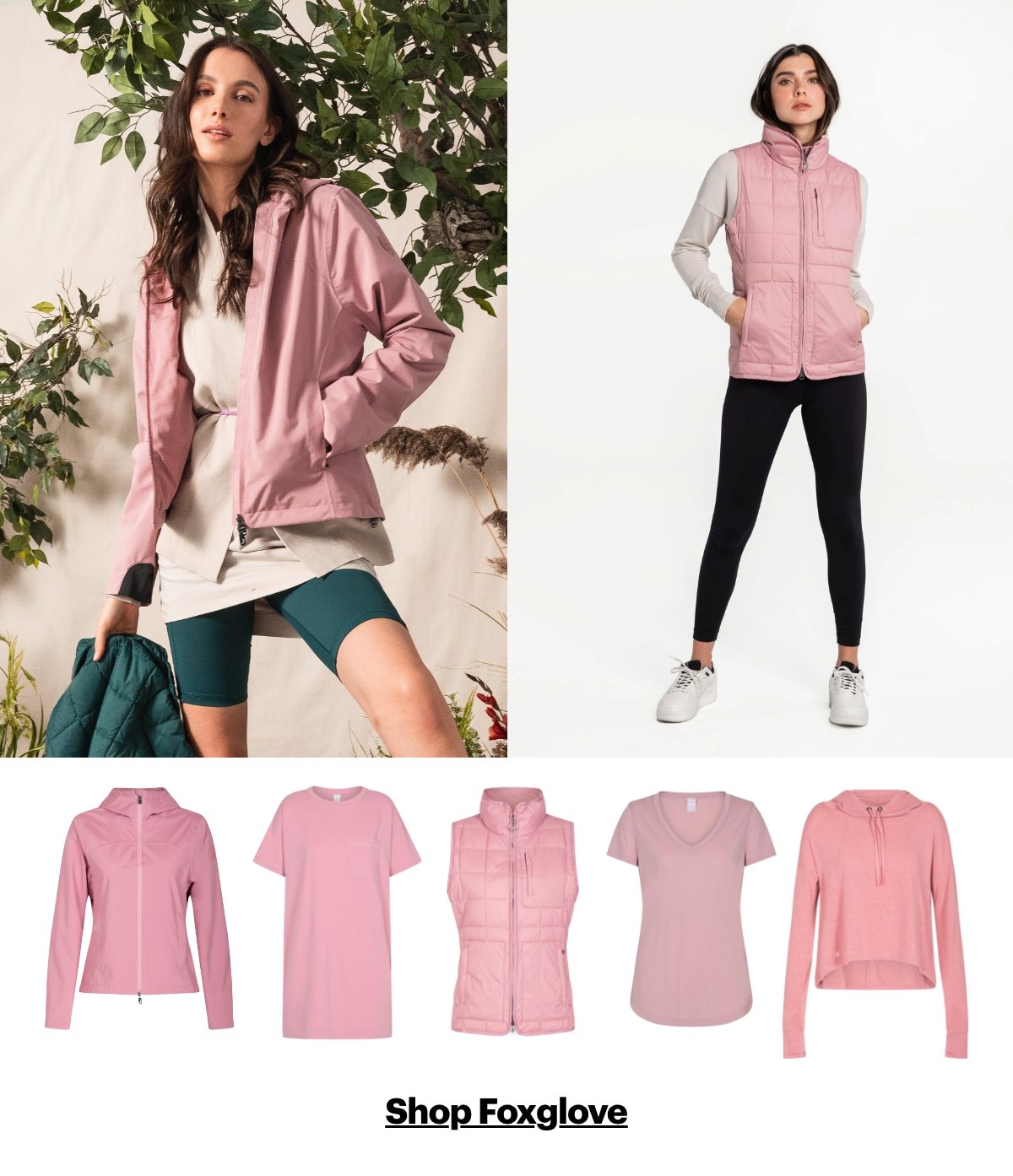 Shop Foxglove