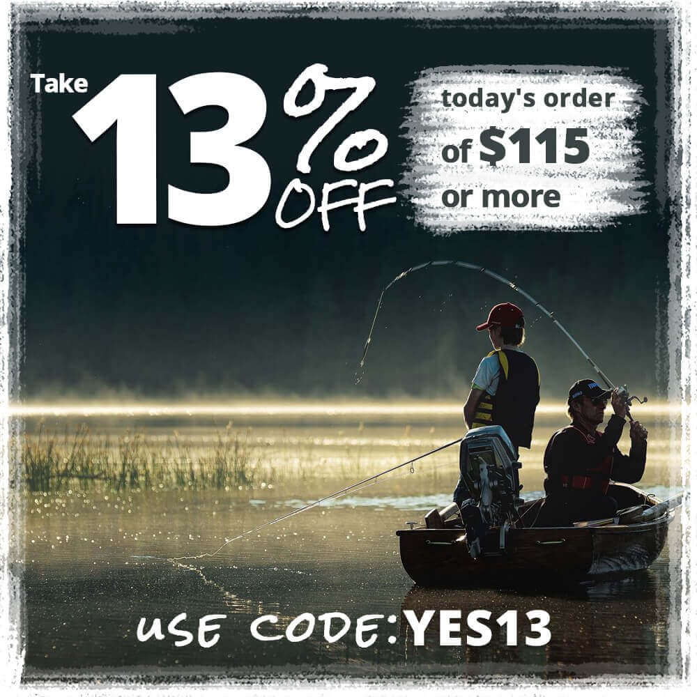 Take 13% off today's order of $115 or more! Coupon Code: YES13