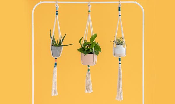 Make a Knotted Rope Plant Hanger in 30 Minutes or Less