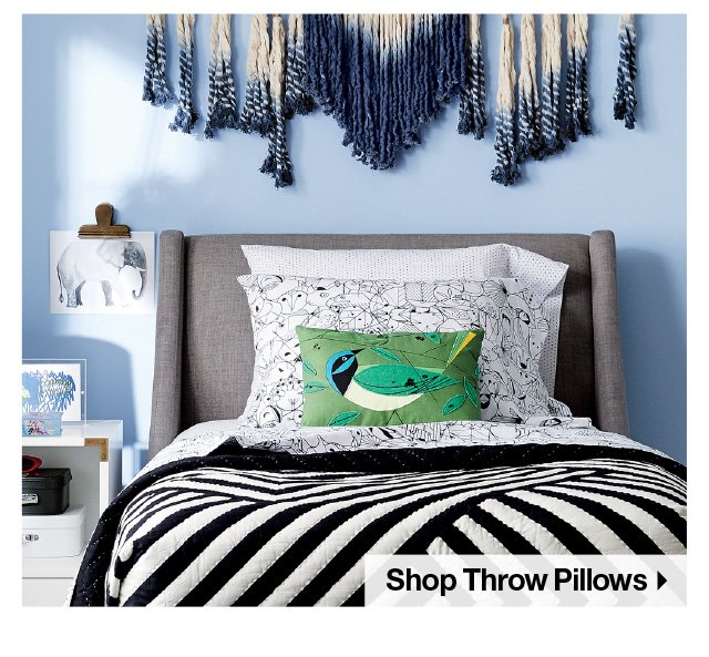 Shop Throw Pillows