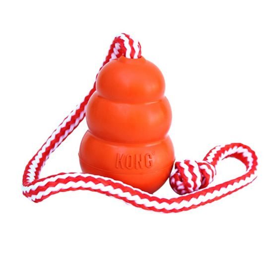 KONG® Aqua Floating Dog Toy