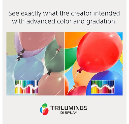 See exactly what the creator intended with advanced color and gradation. | TRILUMINOS™ Display