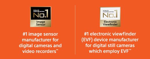 #1 image sensor manufacturer for digital cameras and video recorders** | #1 electronic viewfinder(EVF) device manufacturer for digital still cameras which employ EVF**