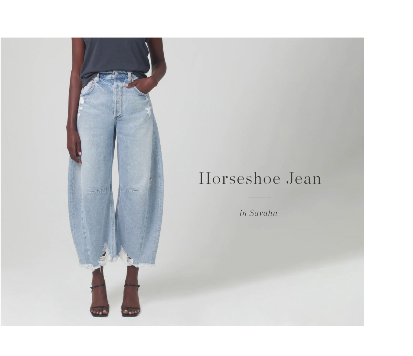 Horseshoe