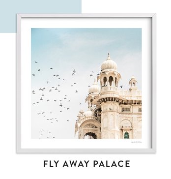 Fly Away Palace