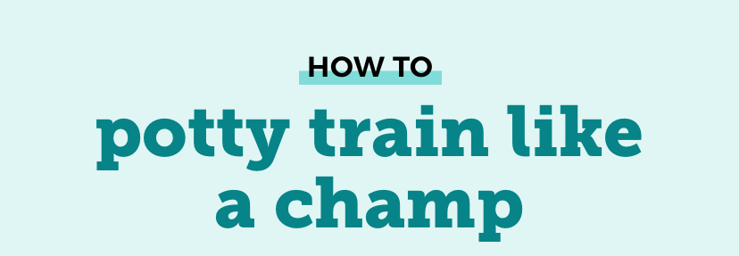 HOW TO potty train like a champ