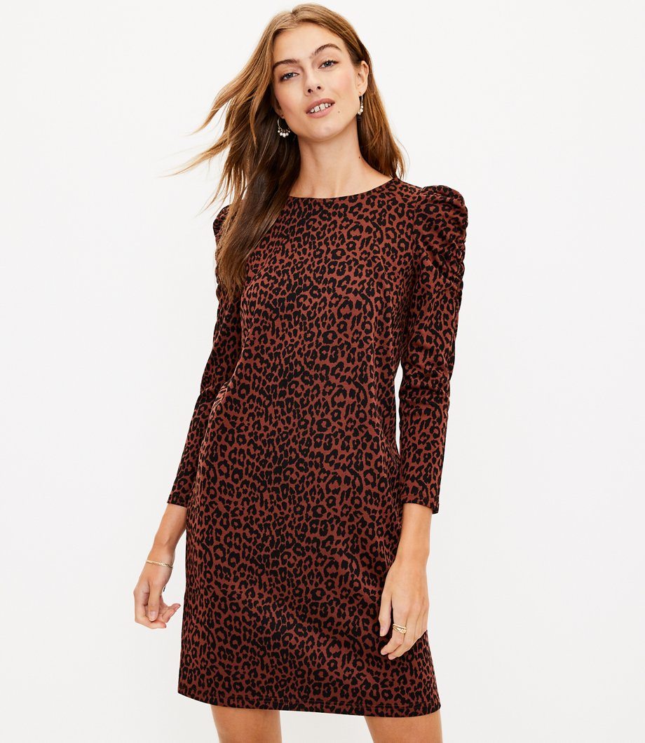 Leopard Print Ruched Sleeve Dress