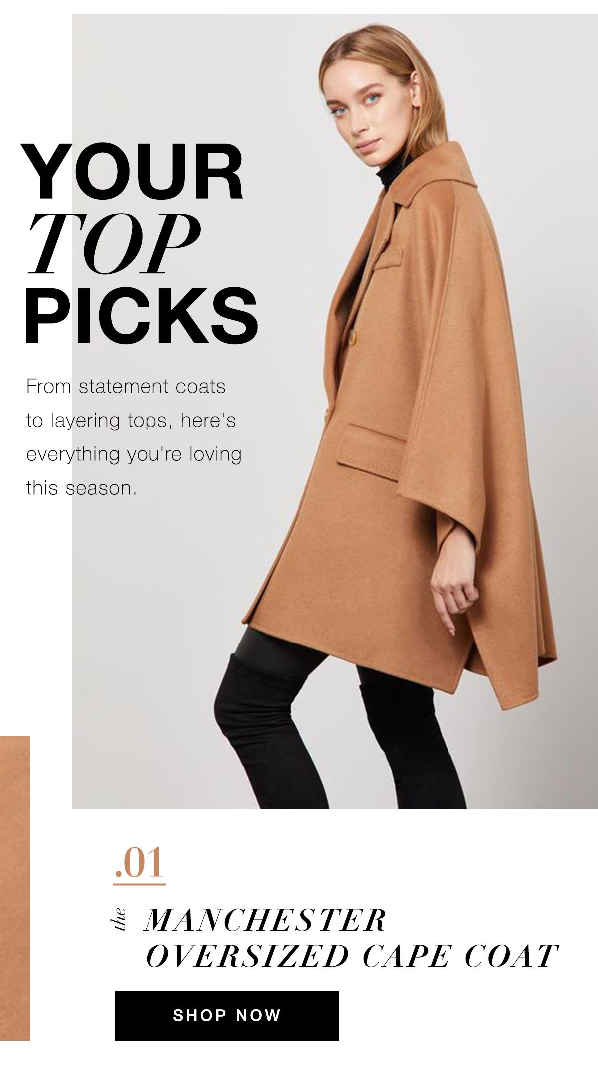 Best Sellers Holiday Roundup BCBGMAXAZRIA Email Archive