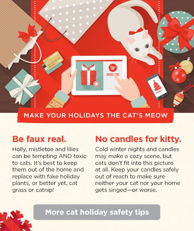 MAKE YOUR HOLIDAYS THE CAT'S MEOW. Be faux real. Holly, mistletoe and lilies can be tempting AND toxic to cats. It's best to keep them out of the home and replace with fake holiday plants, or better yet, cat grass or catnip! No candles for kitty. Cold winter nights and candles may make a cozy scene, but cats don't fit into this picture at all. Keep your candles safely out of reach to make sure neither your cat nor your home gets singed—or worse. More cat holiday safety tips. 