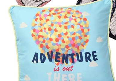Up Adventure is Out There Pillow Cover