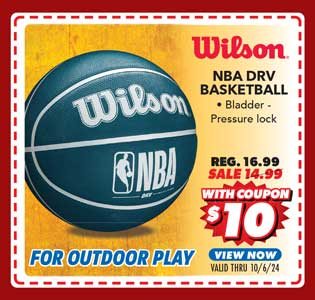 Wilson NBA DRV Basketball