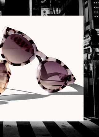 Bellevue Tokyo Tortoise