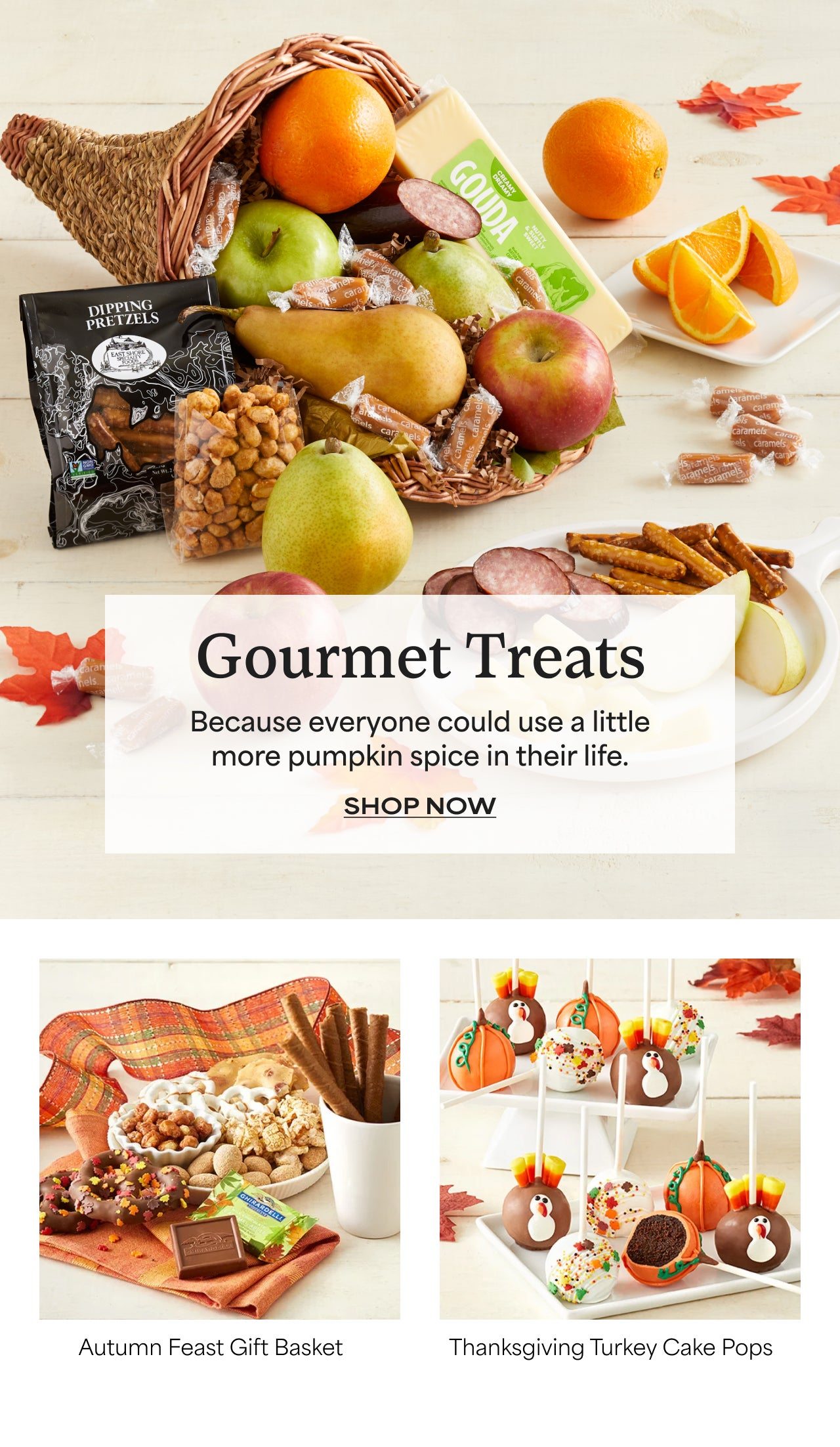 Gourmet Treats | Because Everyone Could Use A Little More Pumpkin Spice In Their Life | Shop Now