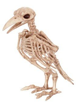 8" Skeleton Raven Prop