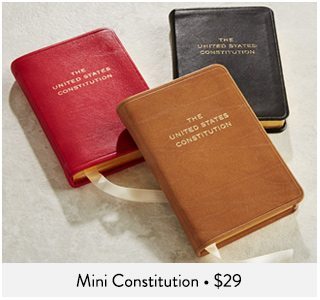 Mini Constitution