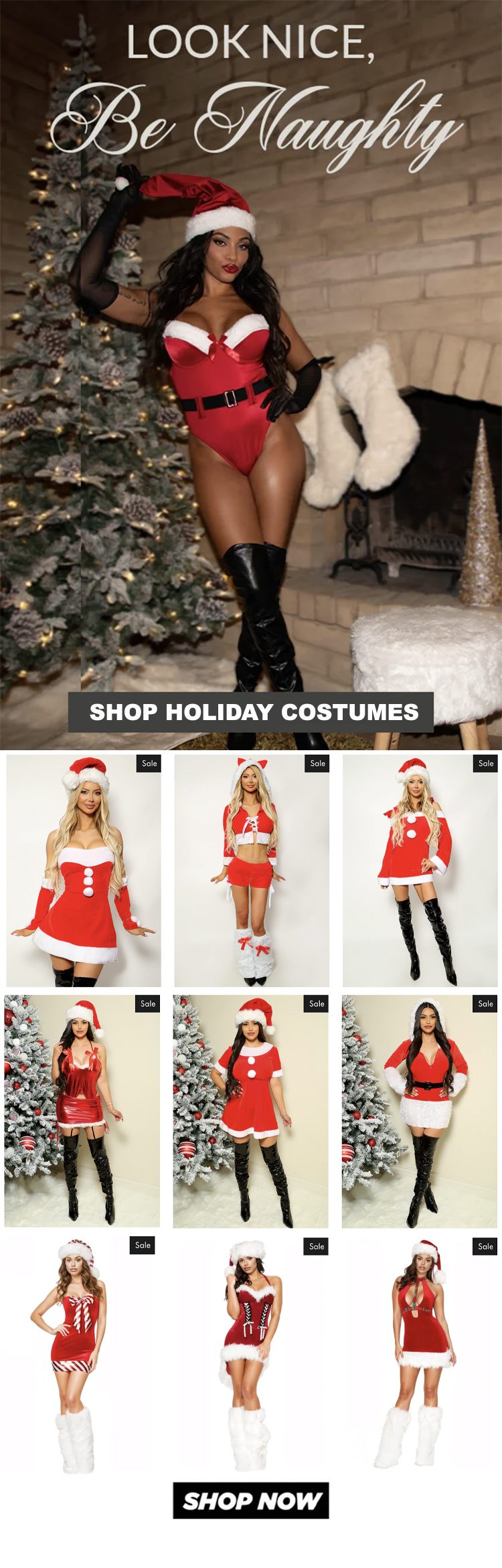 Sexy Holiday Costumes Just Added!