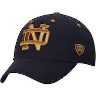 Notre Dame Fighting Irish Top of the World Dynasty Memory Fit Fitted Hat - Navy Blue