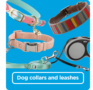 Shop dog collars and leashes >