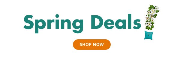 Spring Deals