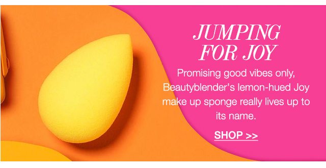 Joy Beauty Blender