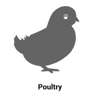 Poultry