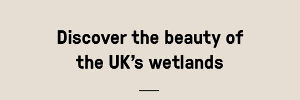 Discover the beauty of the Uk's wetlands