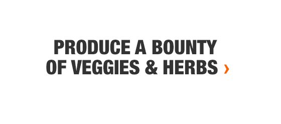 Produce a Bounty of Veggies & Herbs