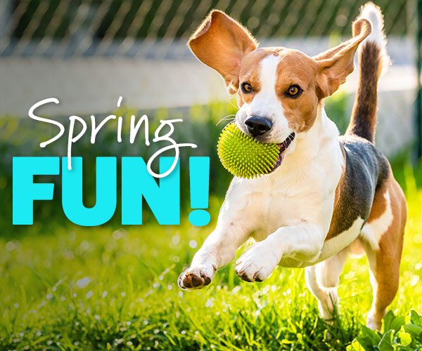Spring Fun! 10% Off or 20% Off Orders over $79*