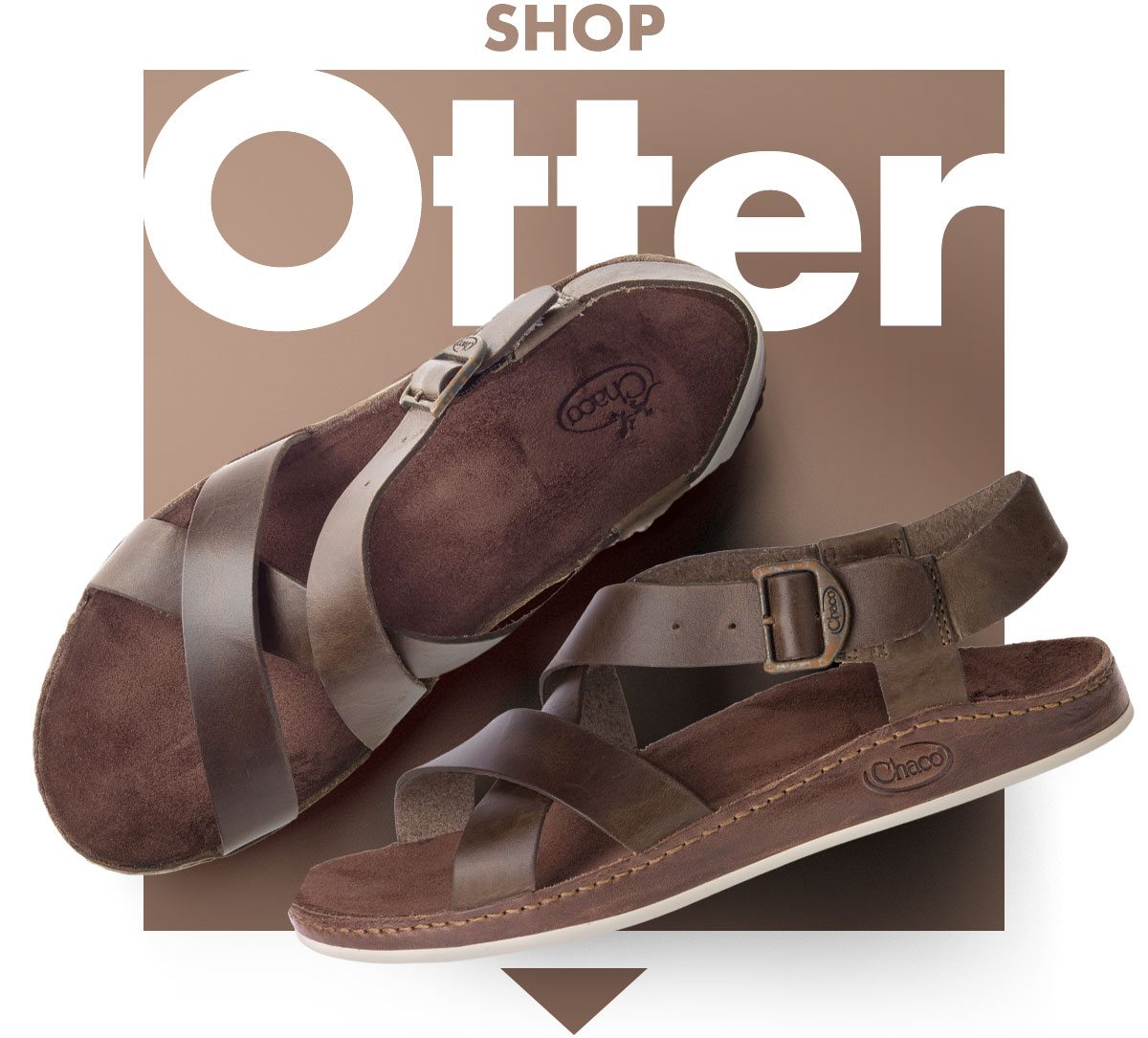 SHOP WAYFARER OTTER