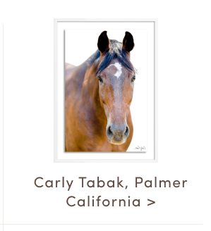 Carly Tabak Palmer California