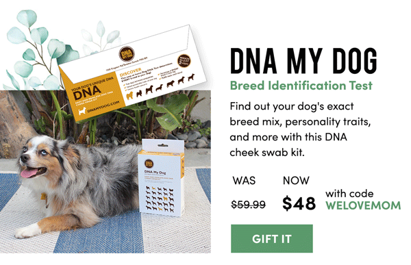 DNA My Dog Test Kit | Gift It