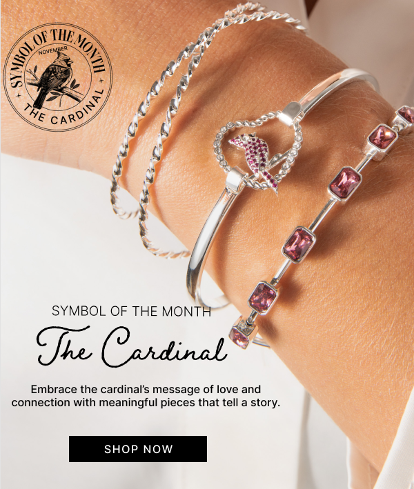 Symbol of the Month | The Cardinal | SHOP NOW