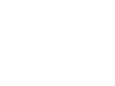 Burly Brand