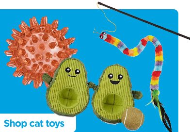 Shop cat toys.