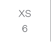 XS 6