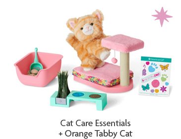 Cat Care Essentials + Orange Tabby Cat