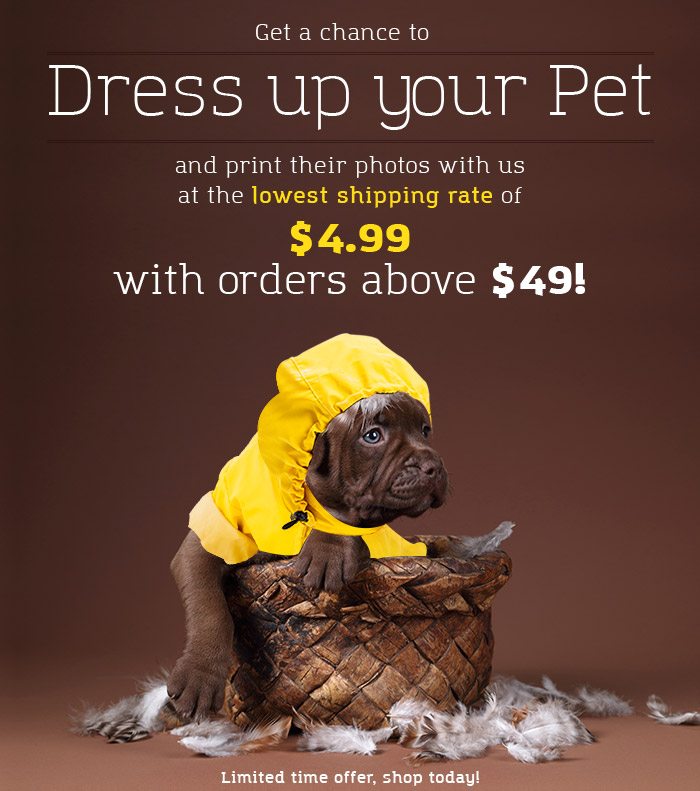 Get low rate shipping on this pet day on orders over $49!